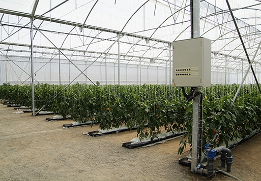 automatismos web - Tecnología y clima